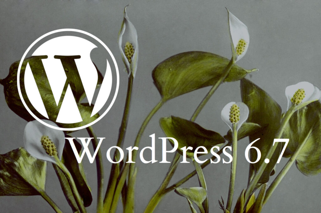 WordPress 6.7