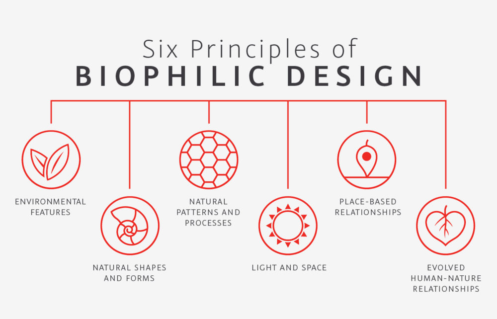 Principles of Biophilic Web Design