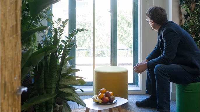 The Business Case for Biophilic Design